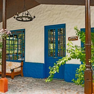 Periquilllo Junior Suite