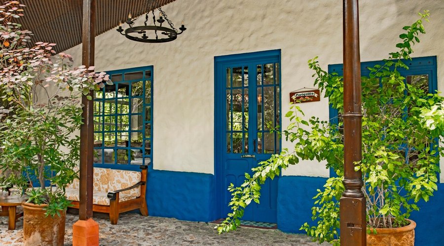 Periquilllo Junior Suite