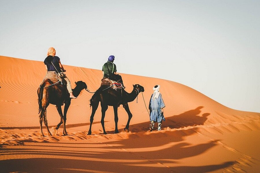 Camp Camel Trekking image