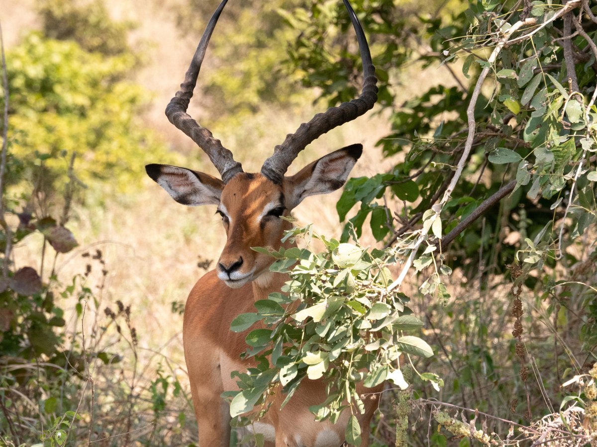 Zanzibar Nature Trails - All You Need to Know BEFORE You Go (2024)