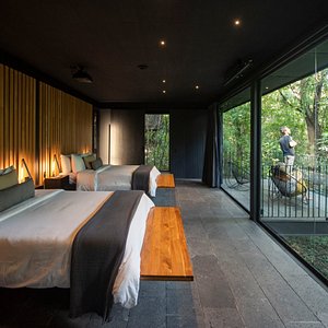 The lush exterior forest is projected into a very comfortable and protected room space, through sweeping, floor-to-ceiling windows. 