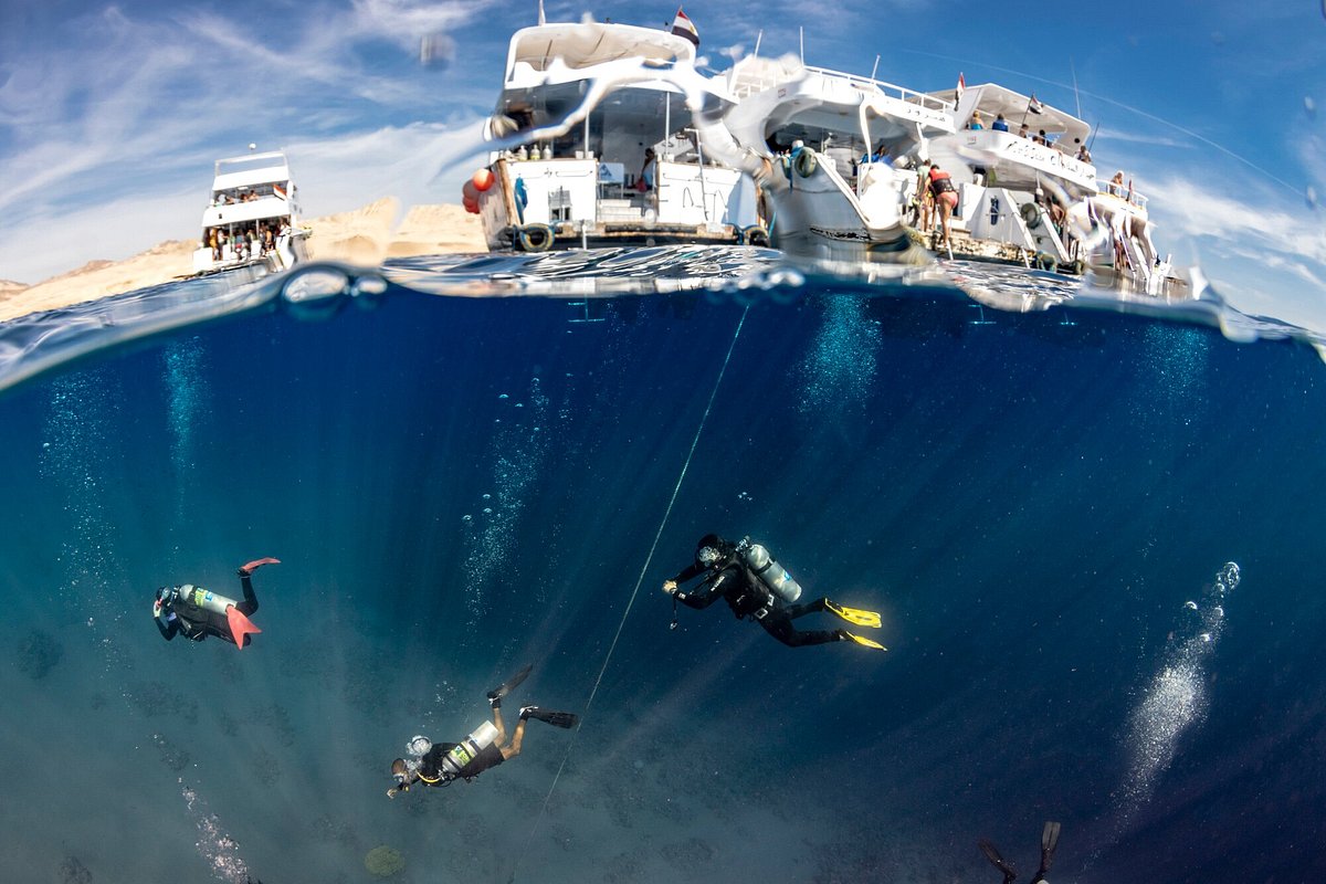 Top 10 Sharm El Sheikh Scuba diving 2024 - Klook United States