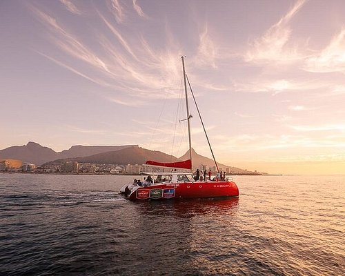hout bay harbour boat trips