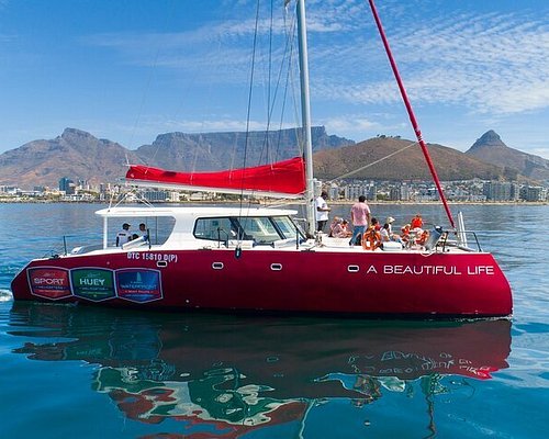 cape town boat trips