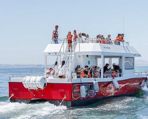 boat cruise from cape town