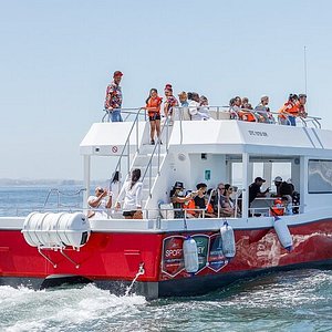 jolly roger boat cruise cape town