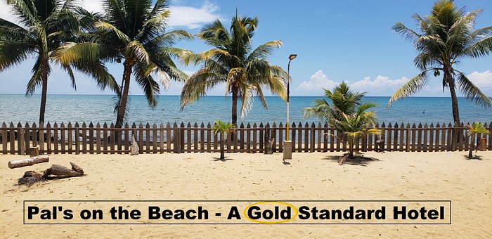 ISLAND BREEZE BAR & GRILL, Dangriga - Restaurant Reviews, Photos & Phone  Number - Tripadvisor