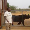 Wachira44