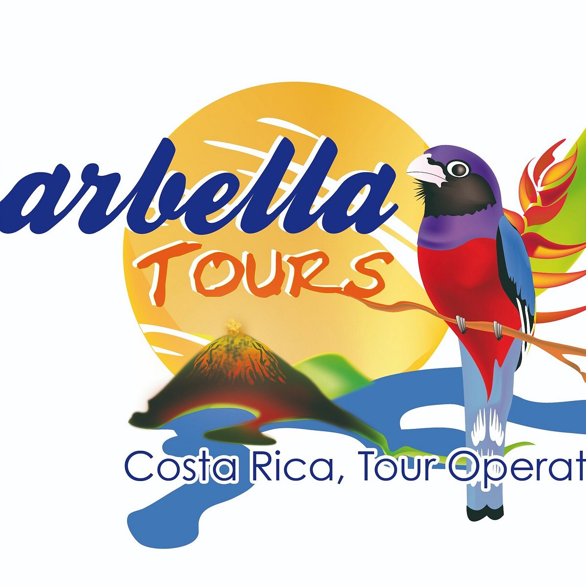 marbella tours san jose