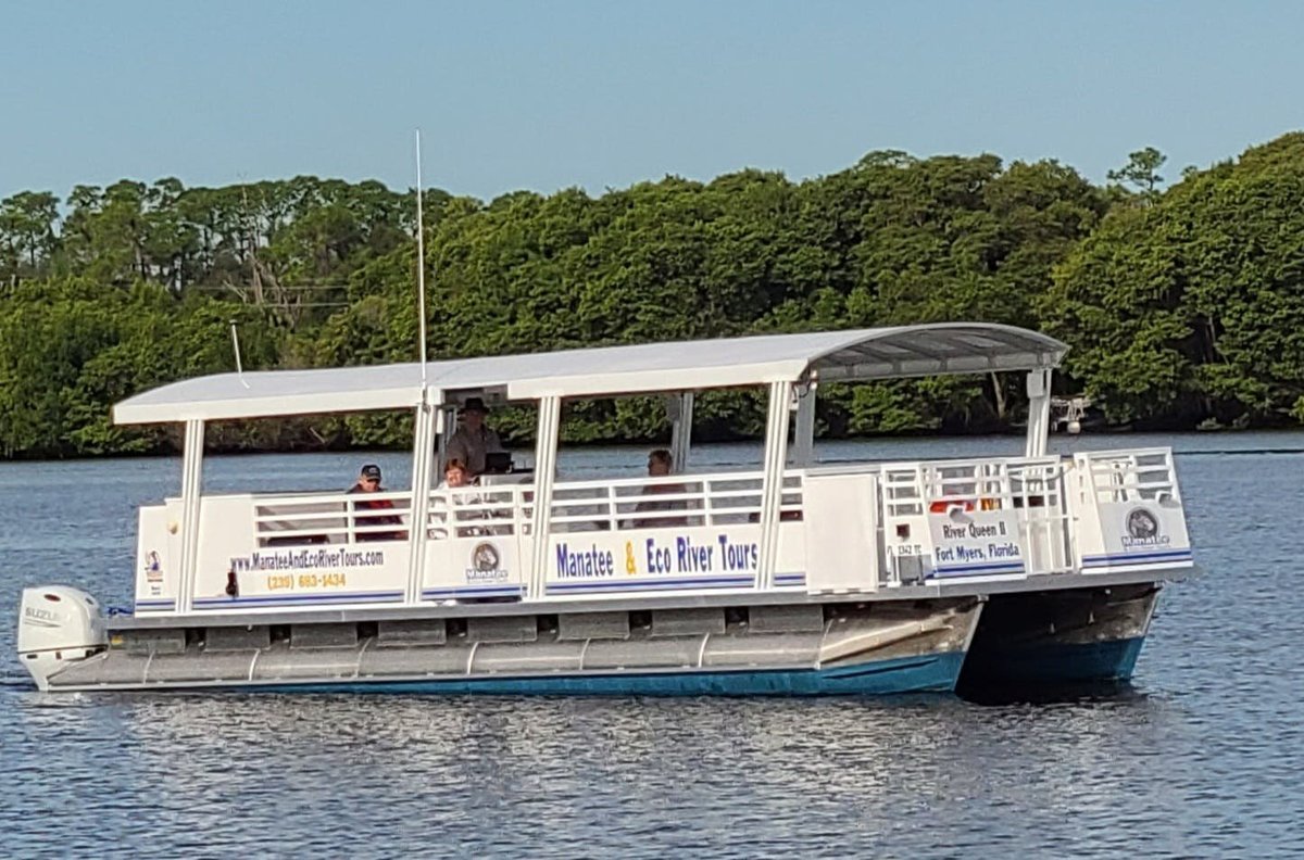 Manatee & Eco River Tours - All You Need to Know BEFORE You Go (2024)