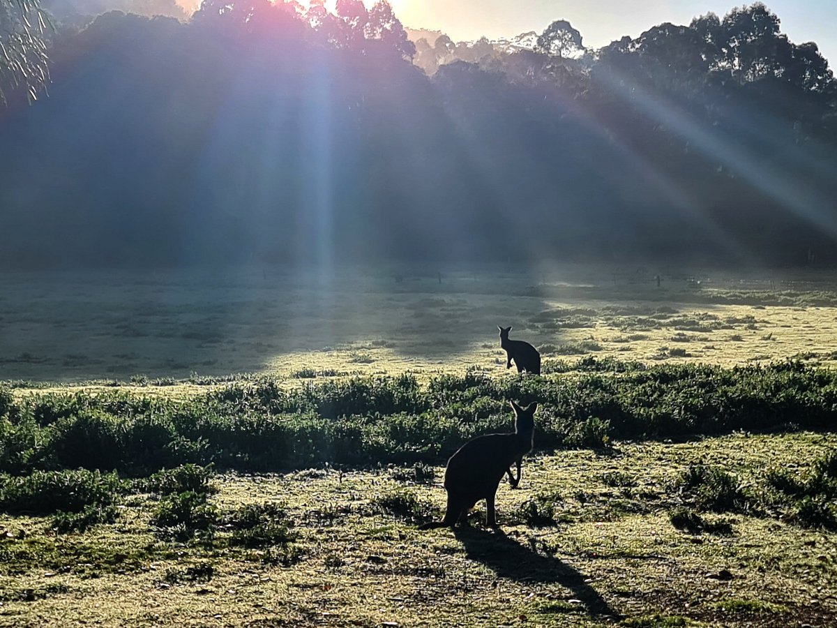 Snake Awareness Hiking in Perth - Off The Beaten Track WA