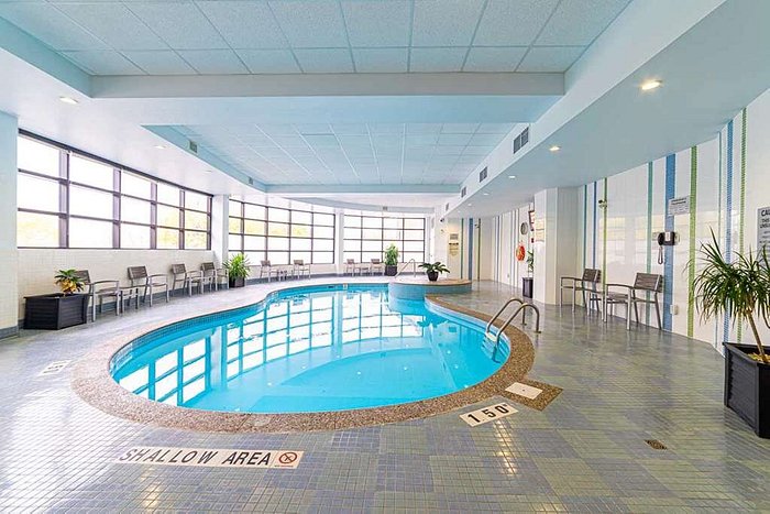 pet friendly hotels in washington dc with indoor pool