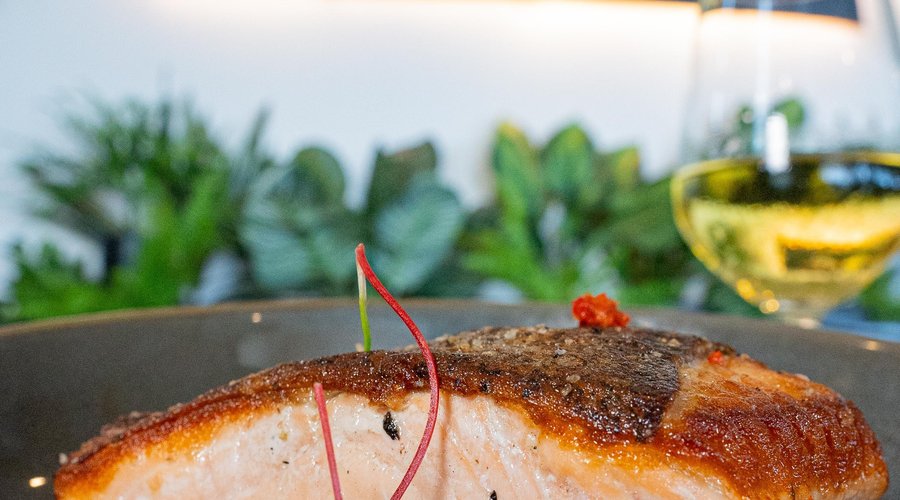 Salmon