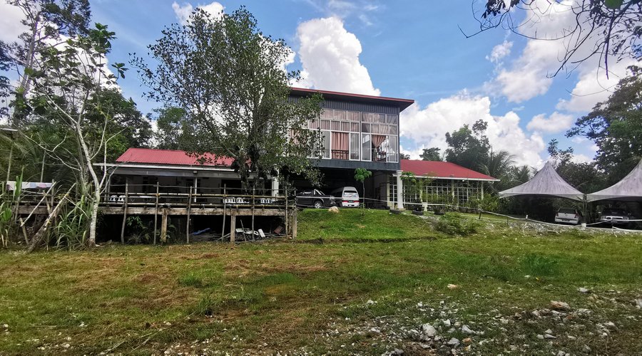 Outdoor view of Badul Homestay surrounded with trees and natures   