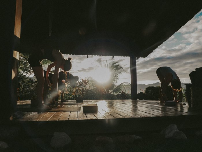 Surf Synergy  An Immersive Surf & Wellness Camp in Costa Rica