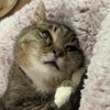 AnAngelFace