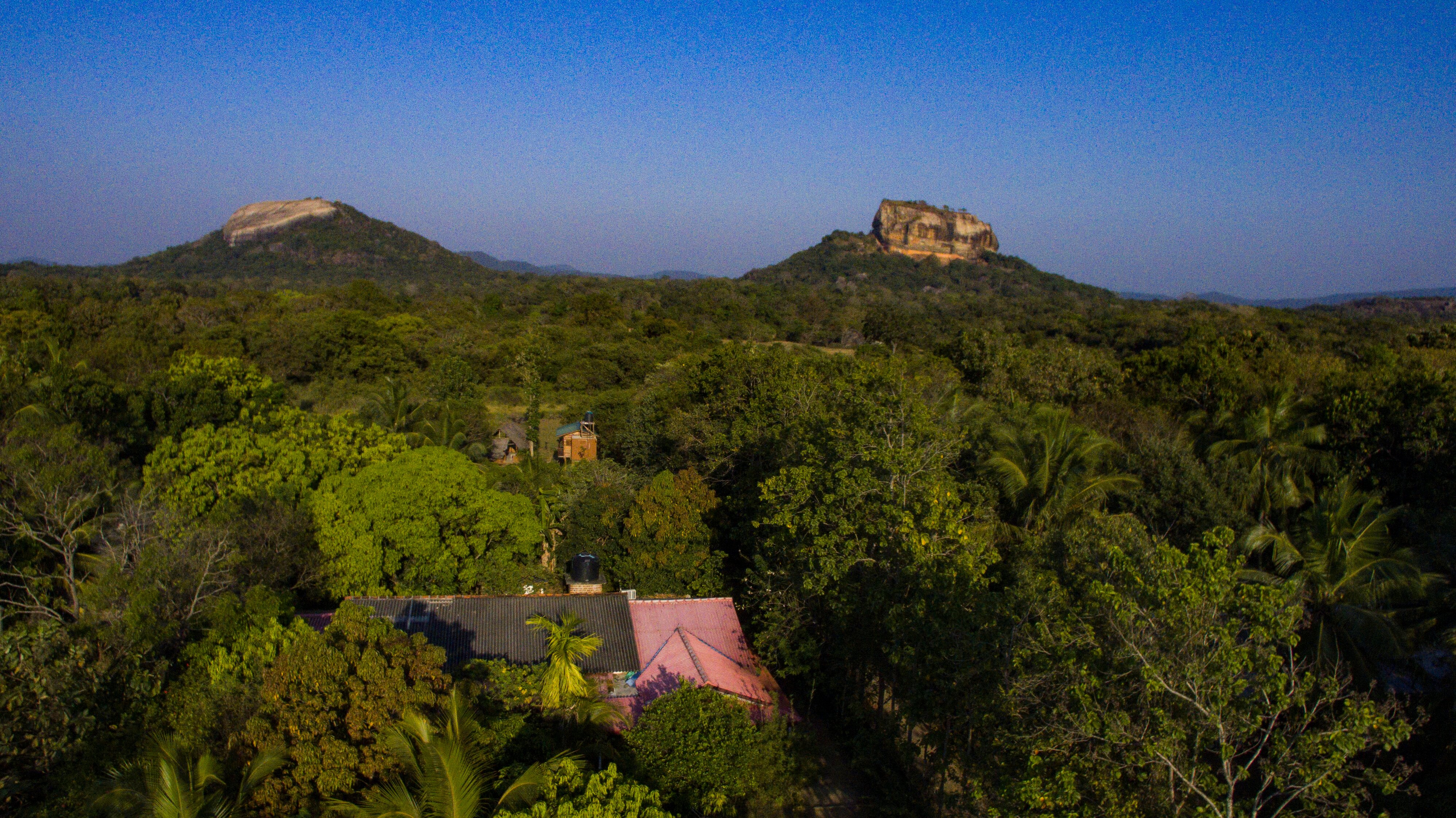 Sigiriya Ceylon Tours - 2023 Lo Que Se Debe Saber Antes De Viajar ...