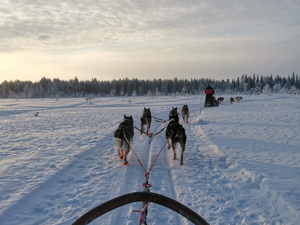 Lapland Safaris Yllas (Akaslompolo) - All You Need to Know BEFORE You Go