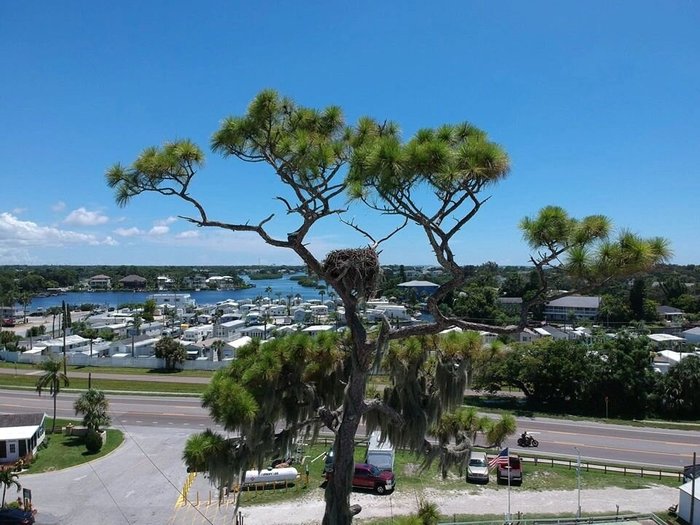 Florida Bay Aire RV Park: Your Home Away From Home in the Sunshine State