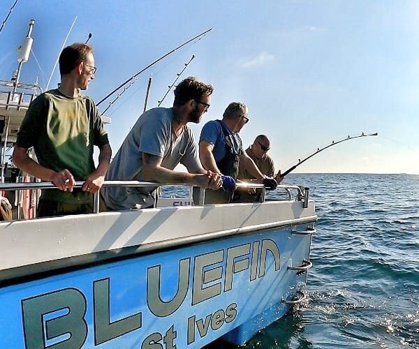 BLUEFIN CHARTERS (St Ives) - All You Need to Know BEFORE You Go🦓 ...