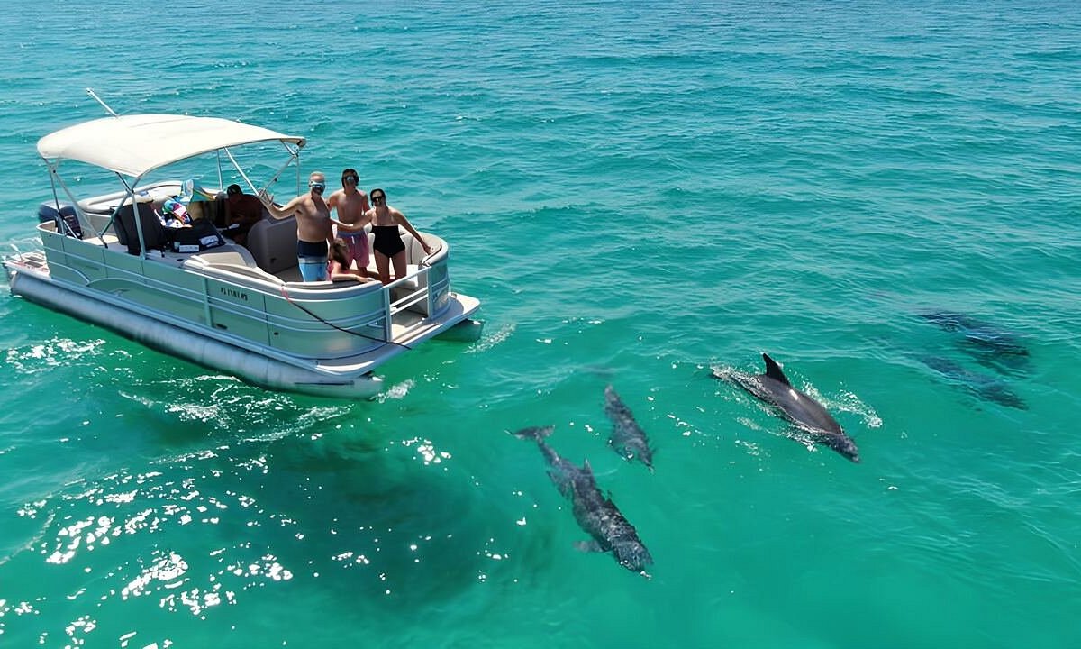 dolphin travels tour programme 2023