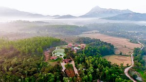 Machaan Plantation Resort in Sakleshpur, image may contain: Vegetation, Land, Outdoors, Woodland
