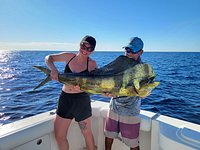Photo & Videos  Fish Drake Bay