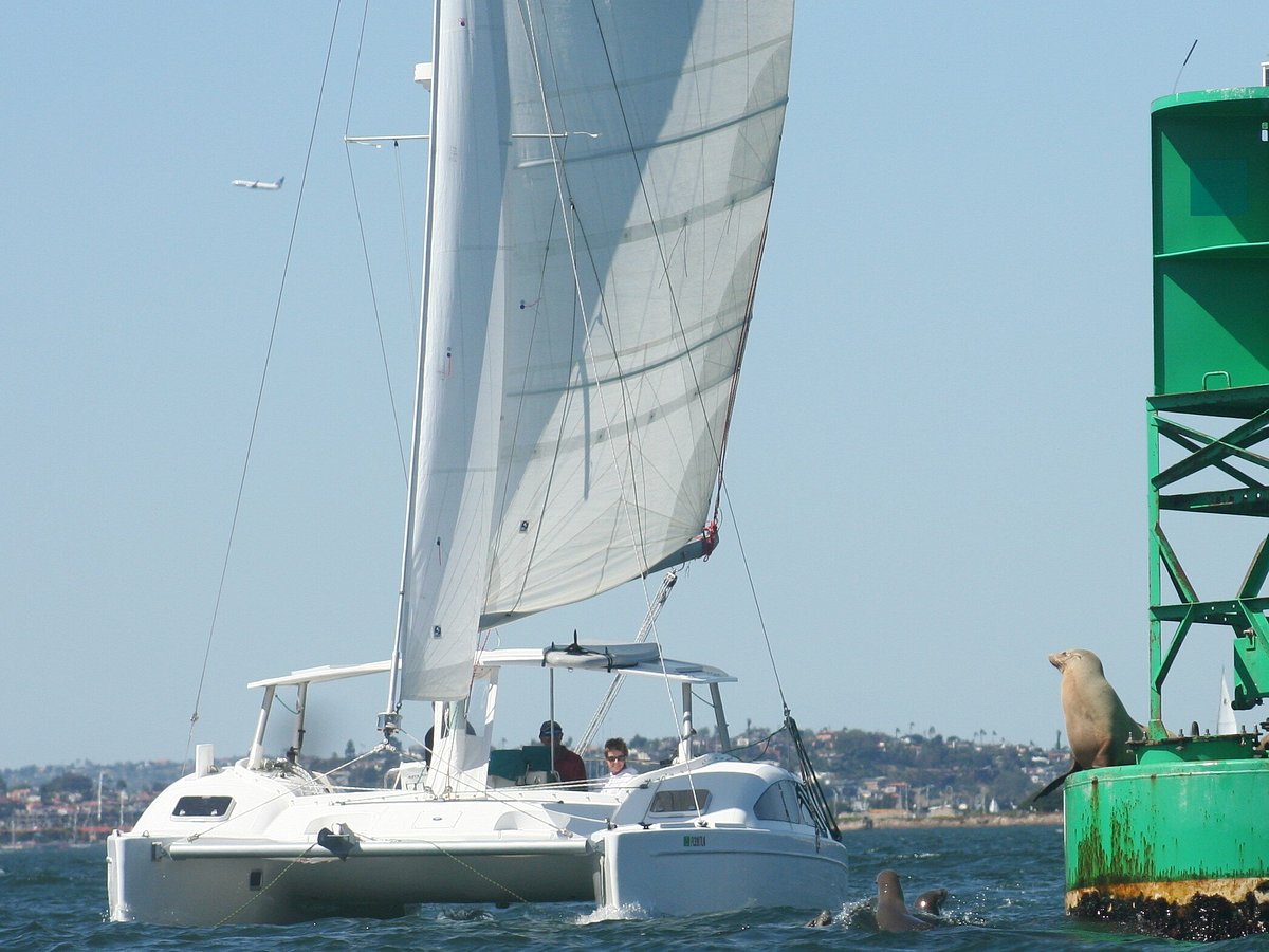 fun cat sailing catamaran adventures