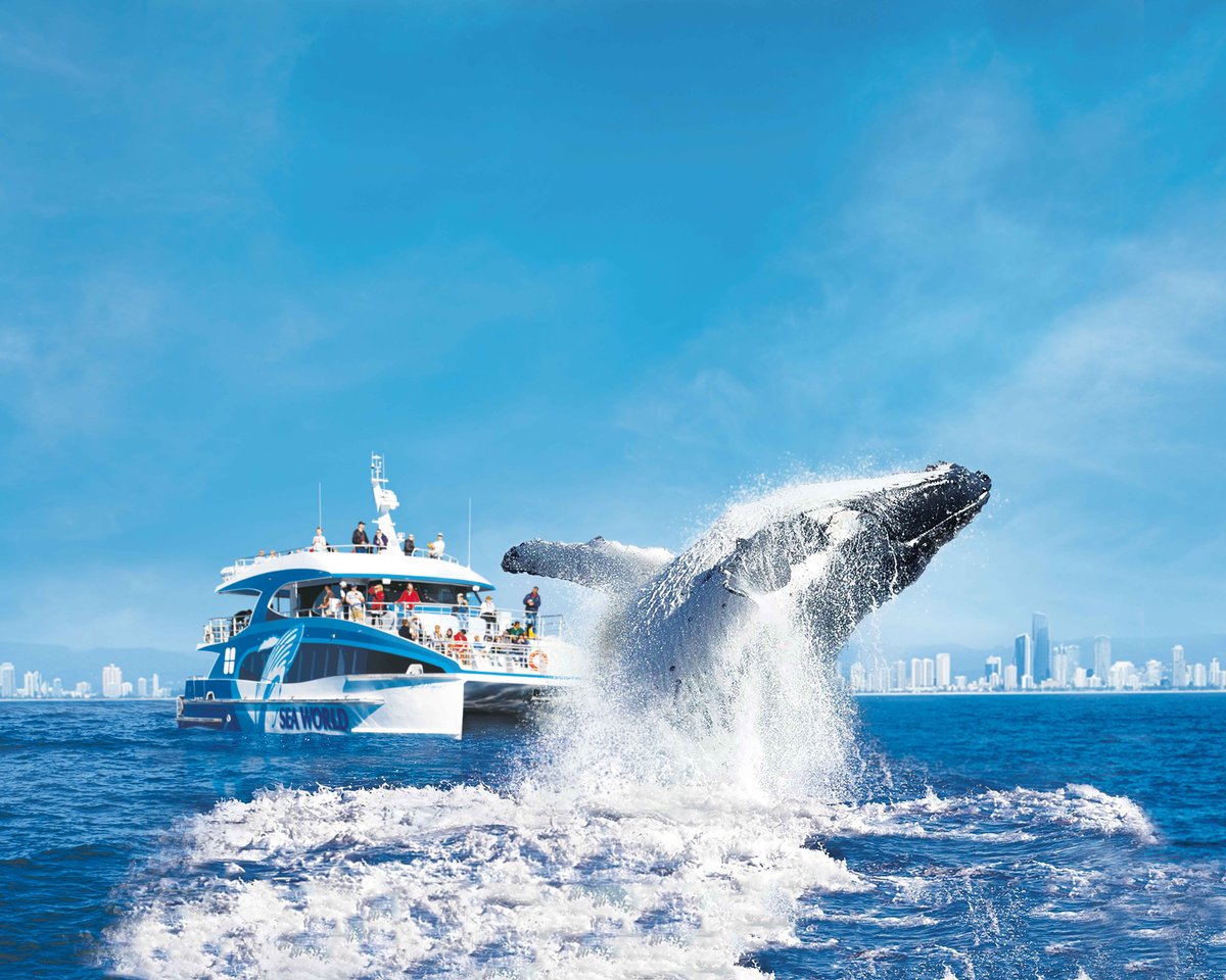 Sea World Cruises (Gold Coast): All You Need to Know