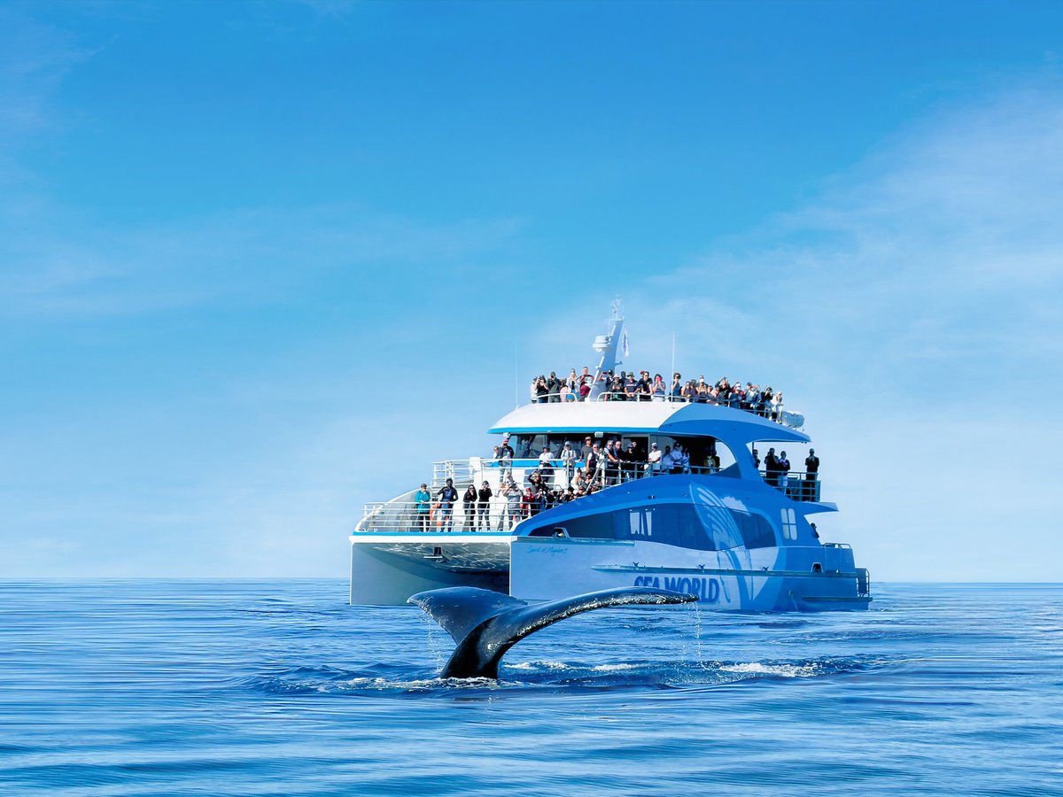 Sea World Cruises (Gold Coast): All You Need to Know