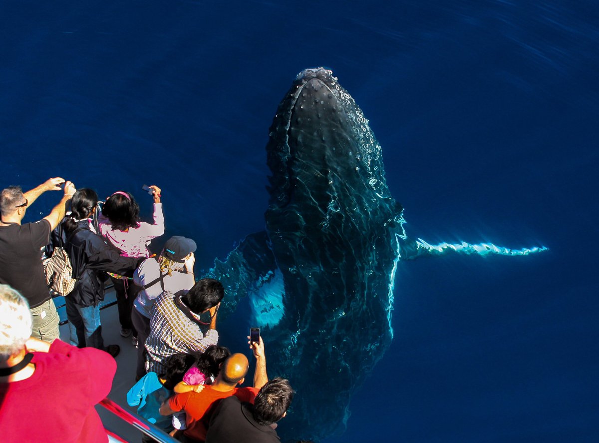 Sea World Cruises (Gold Coast): All You Need to Know