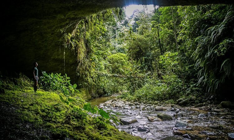 Akangau Jungle Tours image