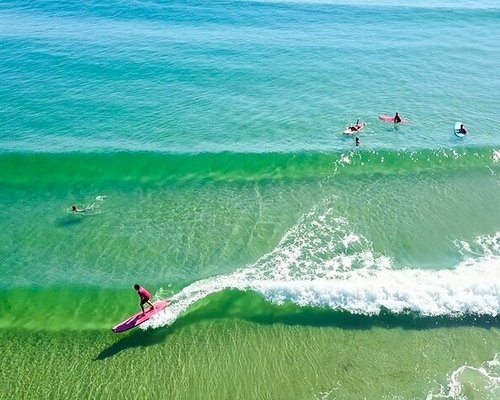 Surfing in Byron | Poster