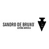 Sandro De Bruno