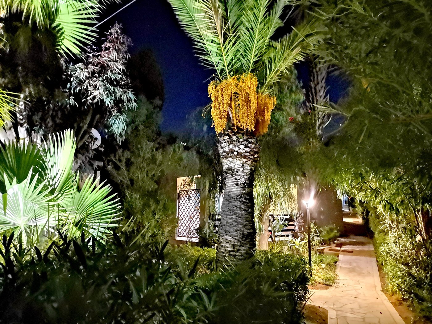 La perla modica