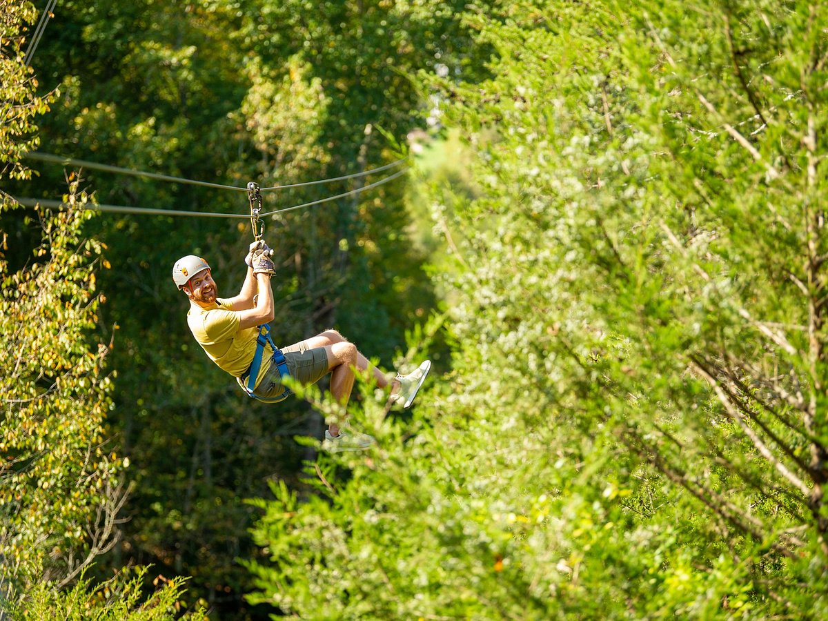 zipline tours gatlinburg