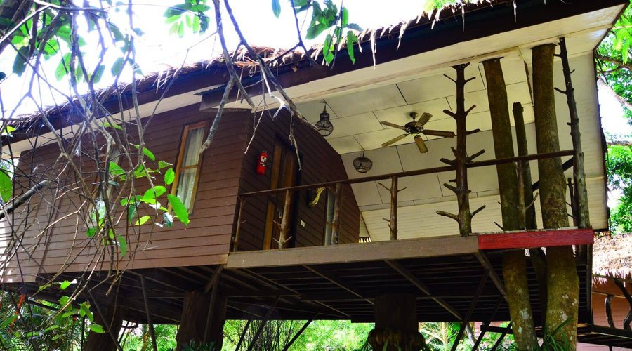 Deluxe Tree House