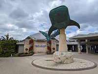 Okinawa Churaumi Aquarium  Travel Japan - Japan National Tourism