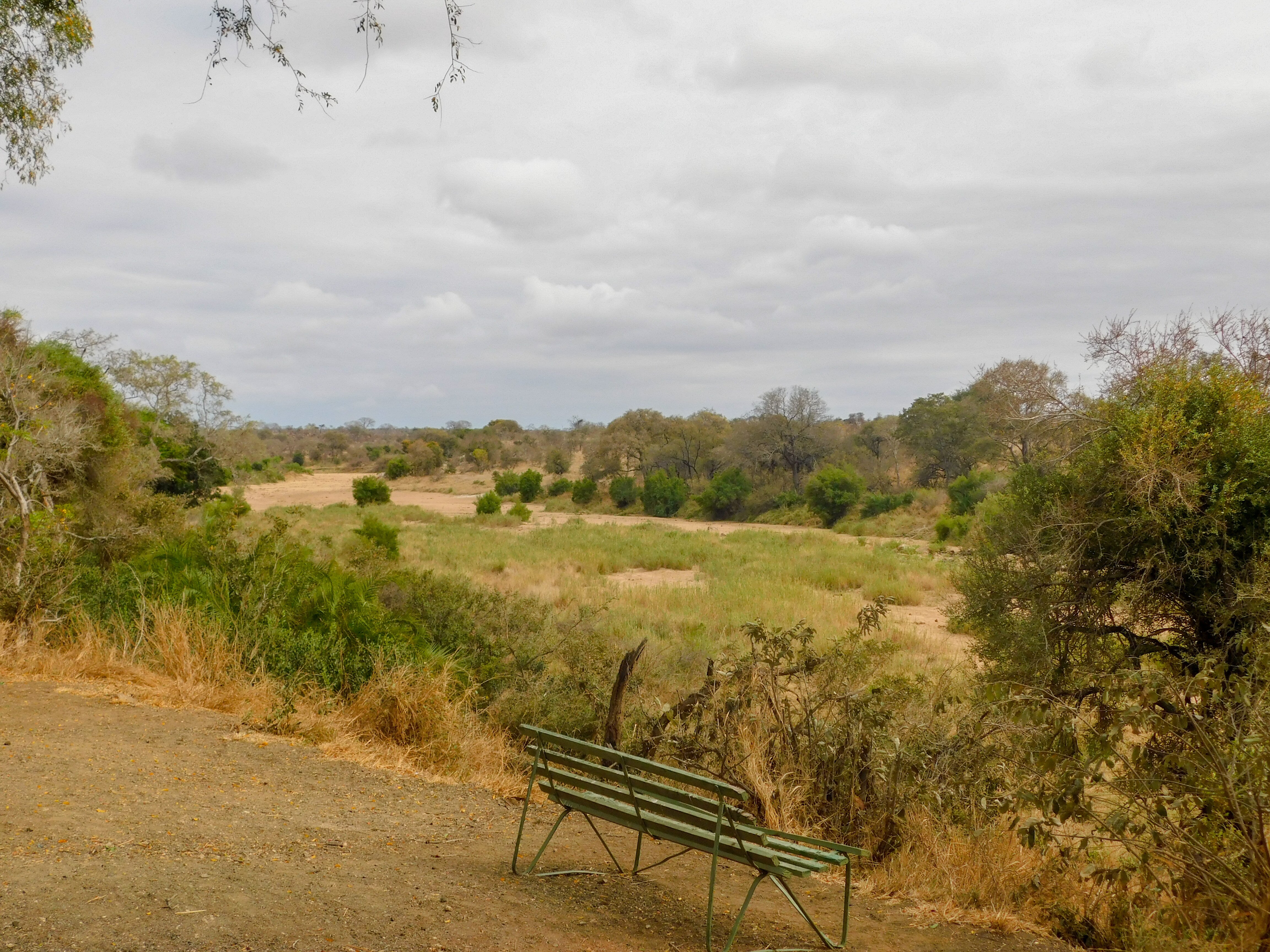 Timbavati Picnic Site (Mpumalanga) - 2022 Alles Wat U Moet Weten ...