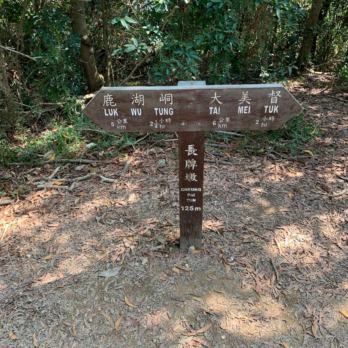 Plover Cove Reservoir Country Trail (Hong Kong) : 2022 Ce qu'il faut savoir pour votre visite ...