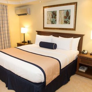 Standard Room One King Bed