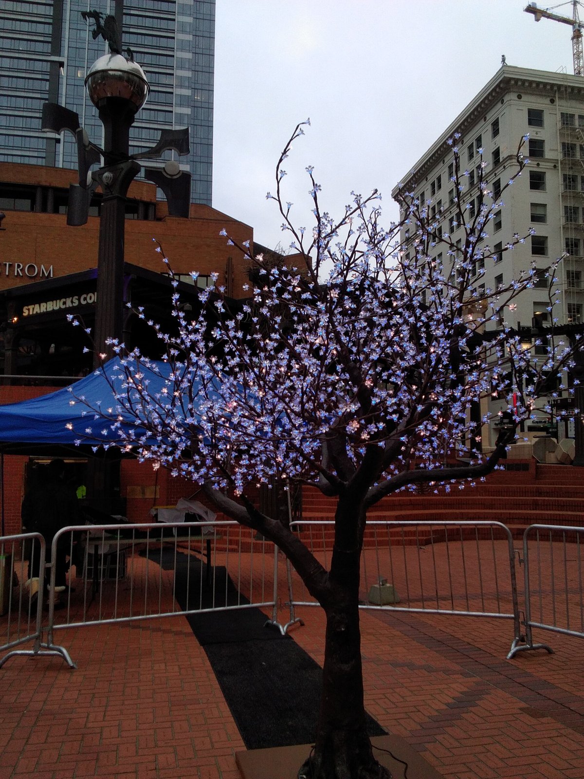 portland-winter-light-festival-all-you-need-to-know-before-you-go