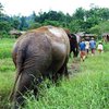 LannaKingdomTours