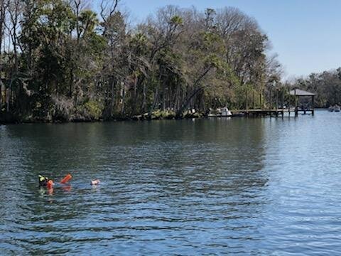 Homosassa review images