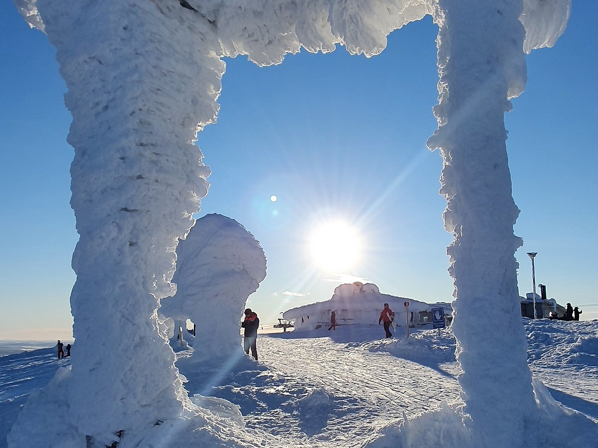 lapland safaris yllas