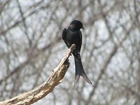 Pocharam Wildlife Sanctuary (Nizamabad) - All You Need to Know BEFORE You Go Pocharam Wildlife Sanctuary (Nizamabad) - All You Need to Know BEFORE You Go