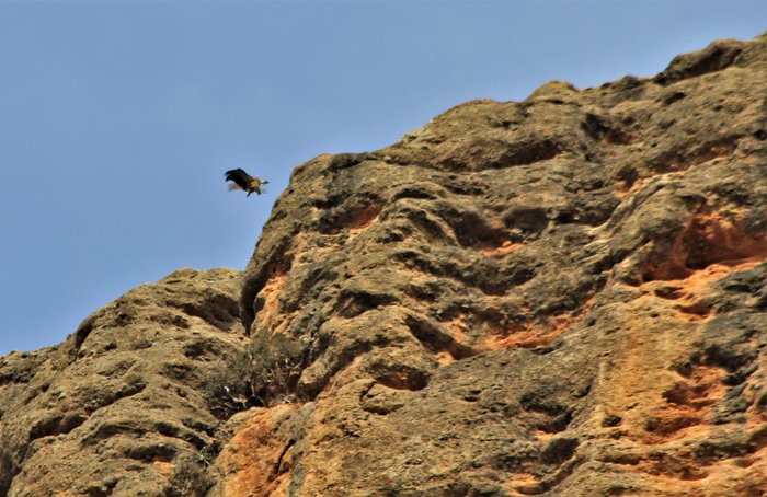 Imagen 10 de Mallos de Riglos