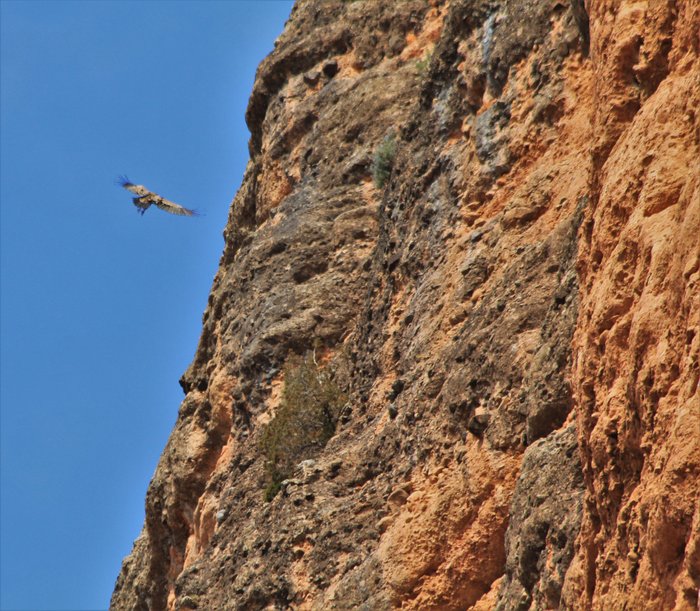 Imagen 6 de Mallos de Riglos