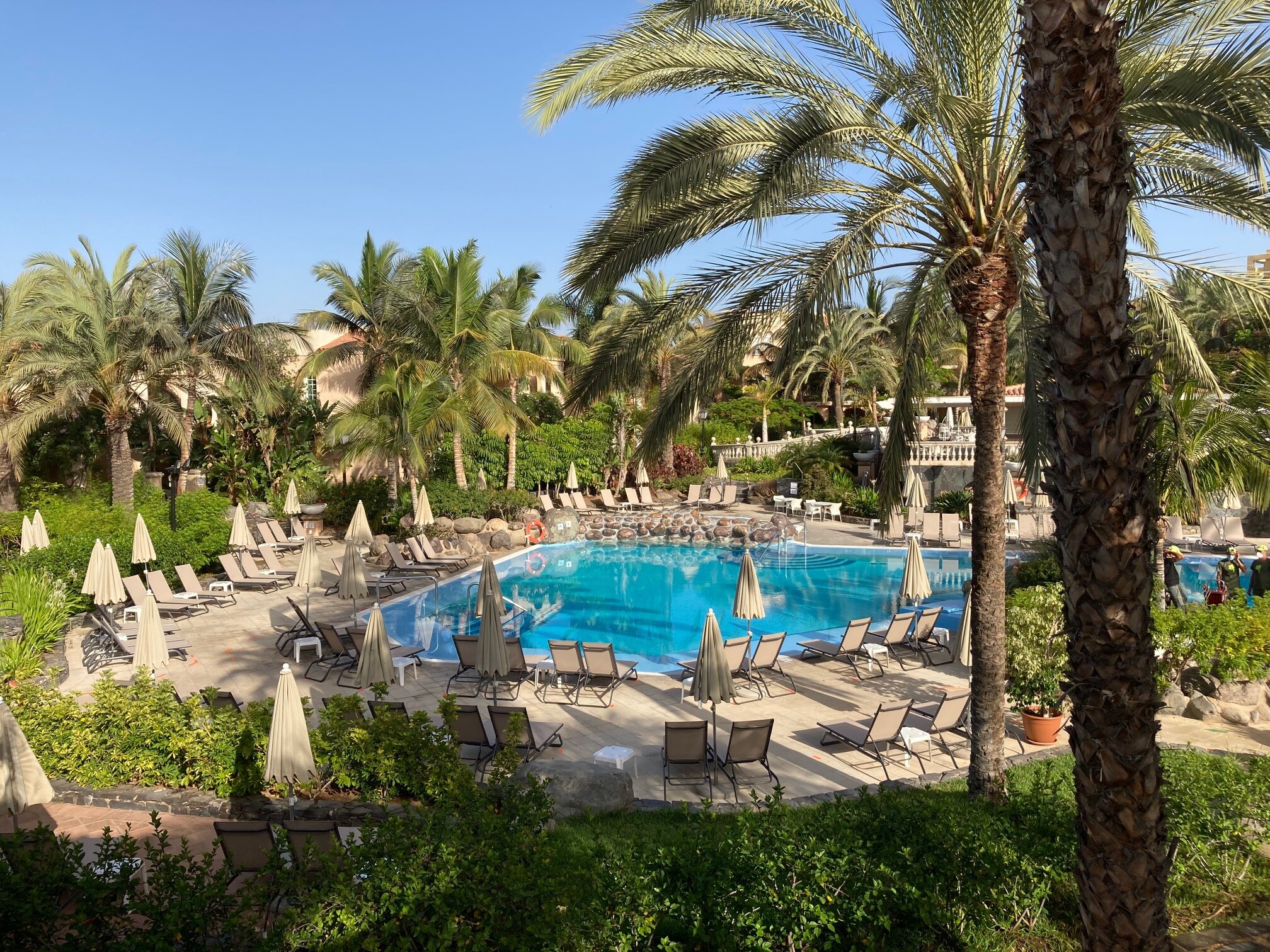 Avis Et Photos De La Piscine De L'Palm Oasis Maspalomas - Tripadvisor