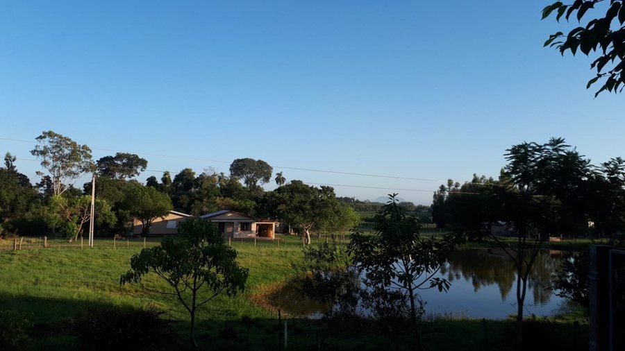 Vista desde habitacion 134